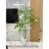 Cây nam thiên trúc cao cấp 1m65 - Cây giả cao su, decor nội thất, giảm giá 22 phần trăm 10