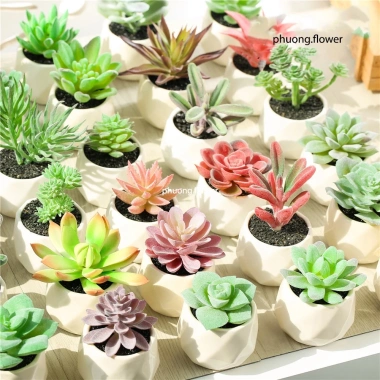 Cây sen đá giả mini trong chậu sứ, sỏi thật - Trang trí decor bền đẹp, giá 47.000₫