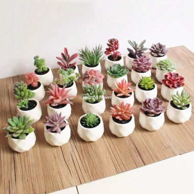Cây sen đá giả mini trong chậu sứ, sỏi thật - Trang trí decor bền đẹp, giá 47.000₫ 2 Cây sen đá giả mini trong chậu sứ, sỏi thật - Trang trí decor bền đẹp, giá 47.000₫ 2
