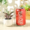 Cây sen đá giả mini trong chậu sứ, sỏi thật - Trang trí decor bền đẹp, giá 47.000₫ 4