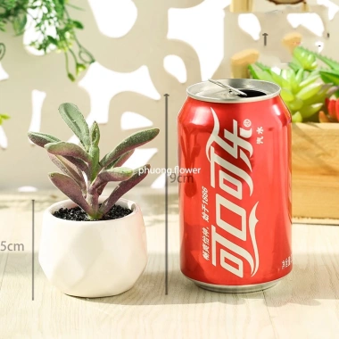 Cây sen đá giả mini trong chậu sứ, sỏi thật - Trang trí decor bền đẹp, giá 47.000₫