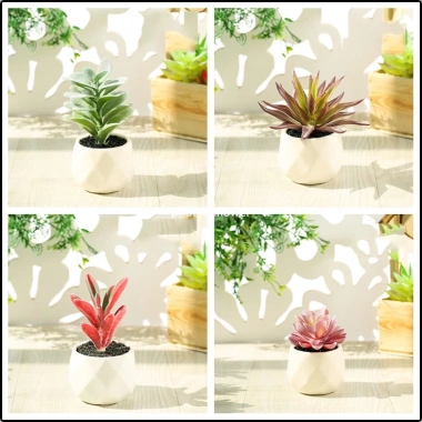 Cây sen đá giả mini trong chậu sứ, sỏi thật - Trang trí decor bền đẹp, giá 47.000₫