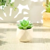 Cây sen đá giả mini trong chậu sứ, sỏi thật - Trang trí decor bền đẹp, giá 47.000₫ 6