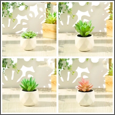 Cây sen đá giả mini trong chậu sứ, sỏi thật - Trang trí decor bền đẹp, giá 47.000₫ 7 Cây sen đá giả mini trong chậu sứ, sỏi thật - Trang trí decor bền đẹp, giá 47.000₫ 7