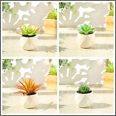 Cây sen đá giả mini trong chậu sứ, sỏi thật - Trang trí decor bền đẹp, giá 47.000₫ 8 Cây sen đá giả mini trong chậu sứ, sỏi thật - Trang trí decor bền đẹp, giá 47.000₫ 8