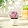 Cây sen đá giả mini trong chậu sứ, sỏi thật - Trang trí decor bền đẹp, giá 47.000₫ 10