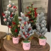 Cây thông mini để bàn lá PE giống thật, trang trí Noel Giáng Sinh, giá 139.000 VND