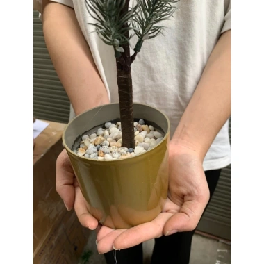 Cây thông mini để bàn lá PE giống thật, trang trí Noel Giáng Sinh, giá 139.000 VND