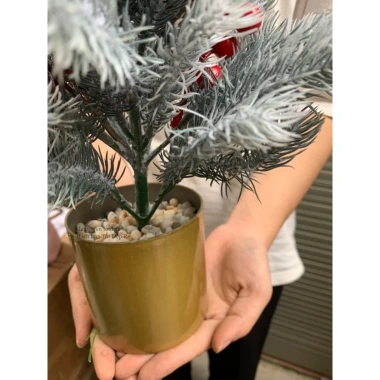 Cây thông mini để bàn lá PE giống thật, trang trí Noel Giáng Sinh, giá 139.000 VND