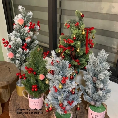 Cây thông mini để bàn lá PE giống thật, trang trí Noel Giáng Sinh, giá 139.000 VND 9 Cây thông mini để bàn lá PE giống thật, trang trí Noel Giáng Sinh, giá 139.000 VND 9