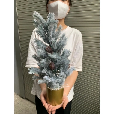 Cây thông mini để bàn lá PE giống thật, trang trí Noel Giáng Sinh, giá 139.000 VND 10 Cây thông mini để bàn lá PE giống thật, trang trí Noel Giáng Sinh, giá 139.000 VND 10