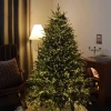 Cây thông Noel cao cấp PE+PVC 2m1 kèm đèn LED sáng rực - Giảm giá 23% chỉ 1.79tr 2