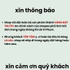 Cây trắc bách diệp 30cm trồng bịng đen - Trang trí bàn làm việc mini, giá 55.000đ, lỗi 1 đổi 2