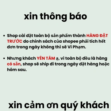 Cây trắc bách diệp 30cm trồng bịng đen - Trang trí bàn làm việc mini, giá 55.000đ, lỗi 1 đổi 2