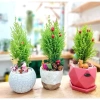 Cây Tùng Thơm Mini Trang Trí Bàn Quán, Cây Thông Nolen Nhà Cửa Thiên Nhiên Đẹp Mắt - Giá Chỉ 99.000₫