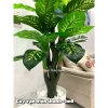 Cây vạn niên thanh cao 1m9 - Cây giả trang trí, hoa giả decor, giảm 23% còn 902.700₫ 2