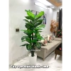 Cây vạn niên thanh cao 1m9 - Cây giả trang trí, hoa giả decor, giảm 23% còn 902.700₫ 3