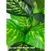Cây vạn niên thanh cao 1m9 - Cây giả trang trí, hoa giả decor, giảm 23% còn 902.700₫ 4