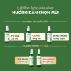 Chai Xịt Tinh Dầu VUATINHDAU 100ml-500ml Khử Mùi, Chống Say Tàu, Khử Khuẩn, Thư Giãn - Giá Ưu Đãi 46.200 VND 6