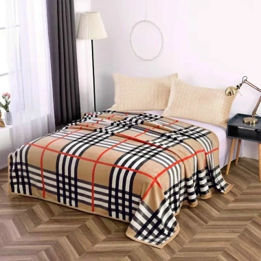 Chăn bông tuyết siêu mịn nhẹ 2x2m, mỏng 4 mùa văn phòng, học - Giá 135.000đ 2