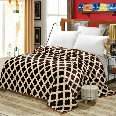 Chăn bông tuyết siêu mịn nhẹ 2x2m, mỏng 4 mùa văn phòng, học - Giá 135.000đ 7
