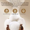 Chăn Điều Hòa Cotton 100% Đôi Mỏng Nhẹ, Thoáng Mát Hè, Phòng Ngủ và Văn Phòng 5