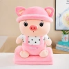 Chăn gối văn phòng 2in1 Gấu bông bánh kem Losto hồng đỏ, stick xanh, ong vàng siêu đáng yêu - Giá chỉ 189.000₫ 6