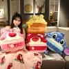 Chăn lớn 1.6x2m 3in1 Văn phòng & Du lịch - Bộ chăn gối, gối kèm chăn, giá 179k 2