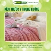 Chăn Lông Cừu HOMIES 2 Lớp Đắp Văn Phòng, Siêu Ấm 1.5x2.1, Màu Sắc Đa Dạng Cho Bé Đi Học 2