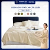 Chăn Lông Thỏ Cao Cấp 2 Lớp Mềm Mịn Giữ Nhiệt Nhập Khẩu Nguyên Chiếc Giá 199k