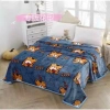 Chăn Lông Tuyết Nhung Mềm Mịn Thoáng Khí – Mền 4 Mùa Cao Cấp Giá 125.000đ Giảm 20% 8