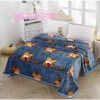 Chăn Lông Tuyết Nhung Mềm Mịn Thoáng Khí – Mền 4 Mùa Cao Cấp Giá 125.000đ Giảm 20% 9