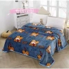 Chăn Lông Tuyết Nhung Sữa 2m x 2m3 4 Mùa Mềm Mịn Thoáng Khí Giá Ưu Đãi 105k 9