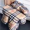 Chăn Muji Văn Phòng 1x2m Đa Năng - Tiện Lợi Cho Bé Đi Học, Du Lịch, Giá Ưu Đãi 8
