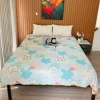 Chăn thun lạnh Tomato siêu mát, thoáng khí, chần băng lụa pastel - Giá 259.000đ 6