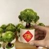 Charm đồng xu viền 7-9mm gói 10/20/50 Hoa kẽm nhung, cây tài lộc Tết, giá 16.500₫ 5
