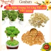 Charm Thỏi Vàng Mini - Nhựa xi vàng trang trí cây tài lộc, kẽm nhung Tết 2.026 11.500 VND