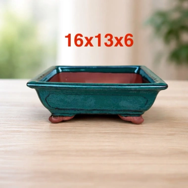 Chậu Bonsai Men Xanh Ngọc Gốm - Cây Mini Sen Đá Đặt Bàn, Giá chỉ 69.000₫
