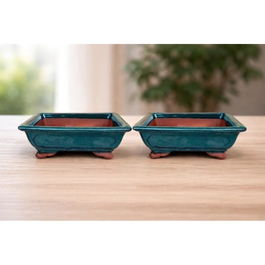 Chậu Bonsai Men Xanh Ngọc Gốm - Cây Mini Sen Đá Đặt Bàn, Giá chỉ 69.000₫
