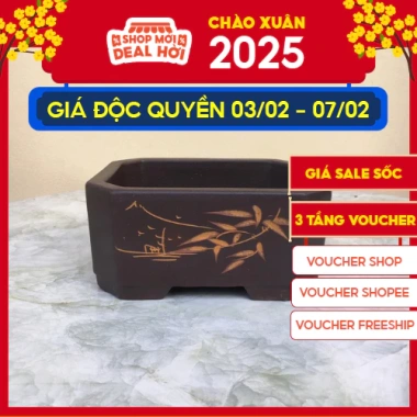 Chậu bonsai mini đất nung gốm Bát Tràng BM-104 - Giá chỉ 67.999đ, thiết kế sang trọng cho không gian xanh