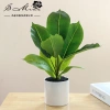 Chậu cây cảnh hình trụ nhựa để bàn - Hoa nhân tạo, trang trí nội thất, 65.809₫