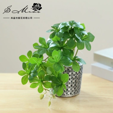 Chậu cây cảnh hình trụ nhựa để bàn - Hoa nhân tạo, trang trí nội thất, 65.809₫ 3 Chậu cây cảnh hình trụ nhựa để bàn - Hoa nhân tạo, trang trí nội thất, 65.809₫ 3