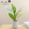 Chậu cây cảnh hình trụ nhựa để bàn - Hoa nhân tạo, trang trí nội thất, 65.809₫ 5