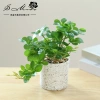 Chậu cây cảnh hình trụ nhựa để bàn - Hoa nhân tạo, trang trí nội thất, 65.809₫ 6