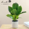 Chậu cây cảnh hình trụ nhựa để bàn - Hoa nhân tạo, trang trí nội thất, 65.809₫ 7