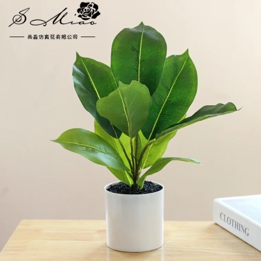 Chậu cây cảnh hình trụ nhựa để bàn - Hoa nhân tạo, trang trí nội thất, 65.809₫