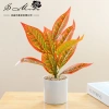 Chậu cây cảnh hình trụ nhựa để bàn - Hoa nhân tạo, trang trí nội thất, 65.809₫ 8