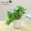 Chậu cây cảnh hình trụ nhựa để bàn - Hoa nhân tạo, trang trí nội thất, 65.809₫ 9