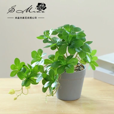 Chậu cây cảnh hình trụ nhựa để bàn - Hoa nhân tạo, trang trí nội thất, 65.809₫ 10 Chậu cây cảnh hình trụ nhựa để bàn - Hoa nhân tạo, trang trí nội thất, 65.809₫ 10