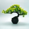Chậu cây cảnh mô phỏng xanh bình tròn nâu – Trang trí nhà cửa, giảm còn 69.000₫